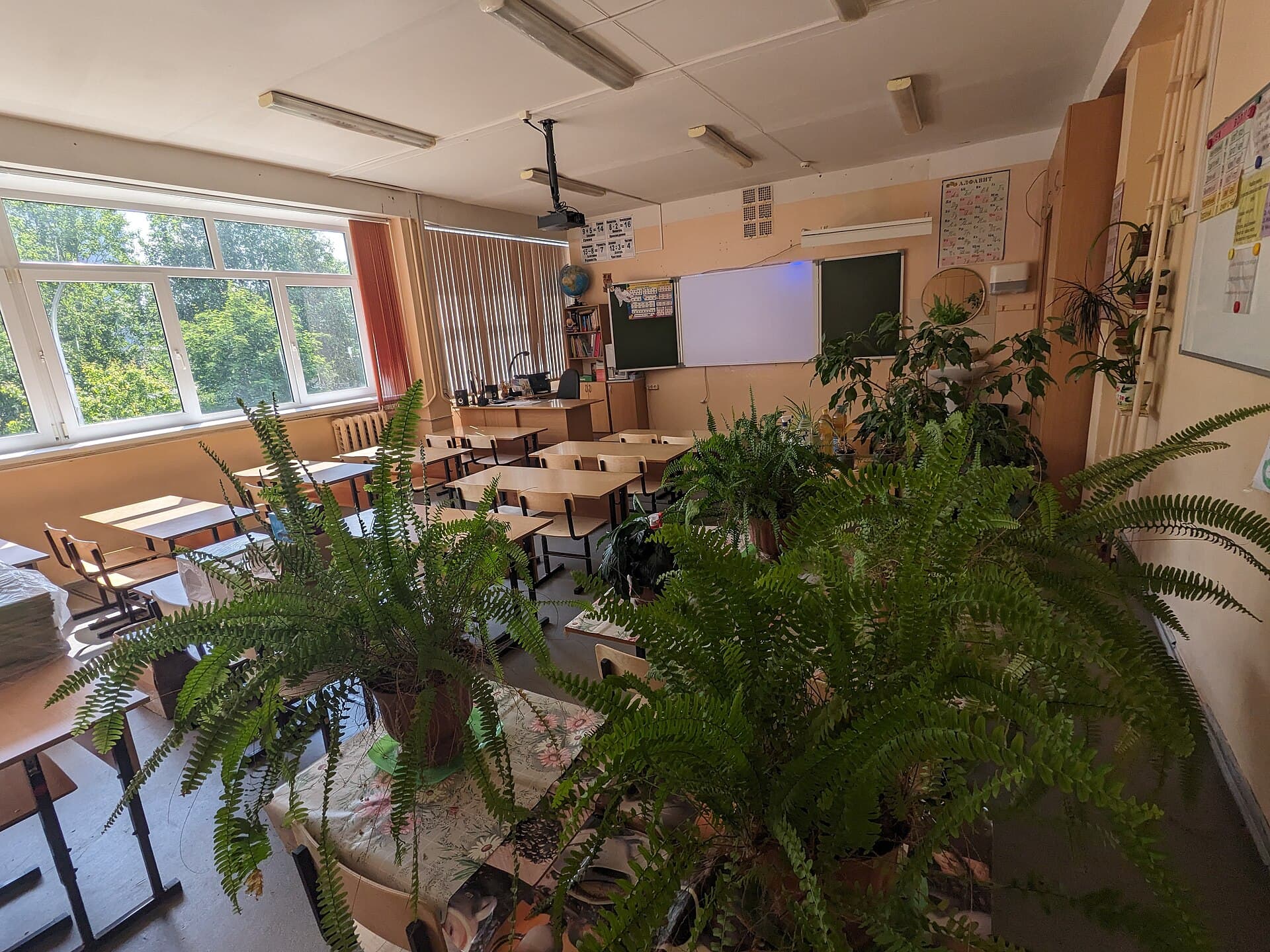 Aula vacía con plantas y pupitres, luz de verano